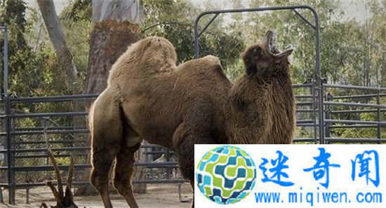 ���ձ�ɹһ���� ����ŭ���������Դ�