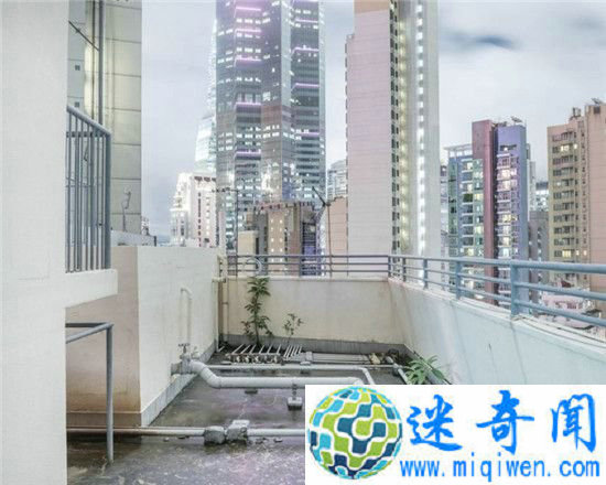 û���˵��й�ʲô����������������