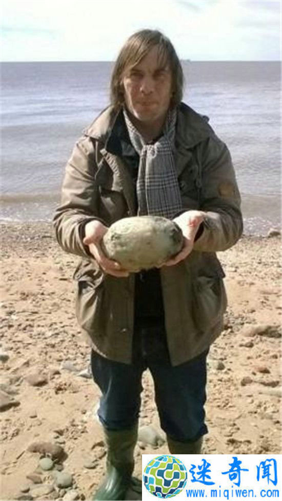 ���޺���ɢ���񵽷���ʯͷ��ֵ���