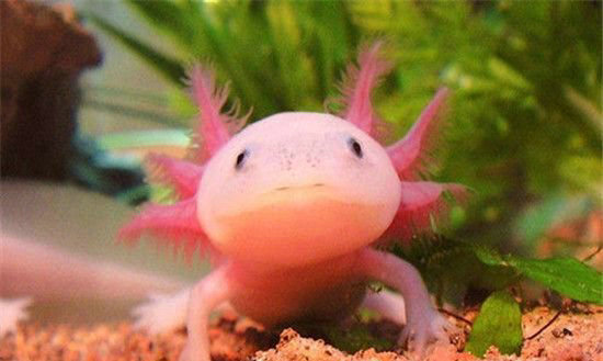 ���ܶ��ｫ�ص���������֮·�����������֮Դ