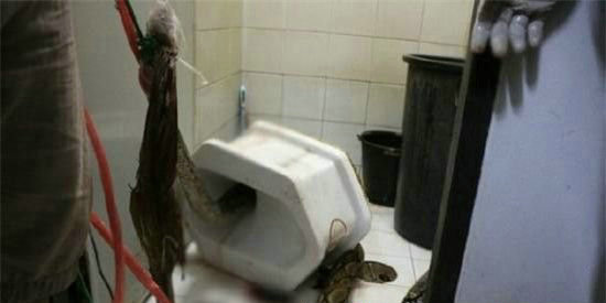 ��Ͱ�ܳ����� ���ӱ�ҧ��Ѫ�ҽв�ֹ