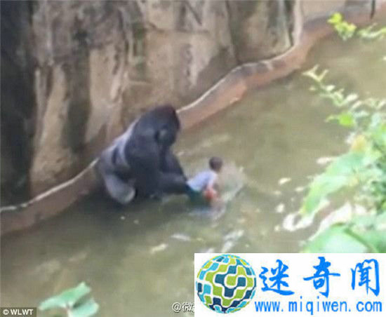 3����ͯ��������԰Χ�� �����ɷ�����ɱ