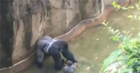 3����ͯ��������԰Χ�� �����ɷ�����ɱ