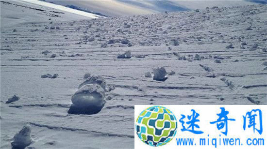 �����˸ɵģ�������ѩ�� �����������