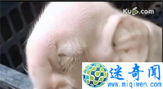 ����կ���֡��������� �ѵ��Ǵ���ĸ���ӽ���