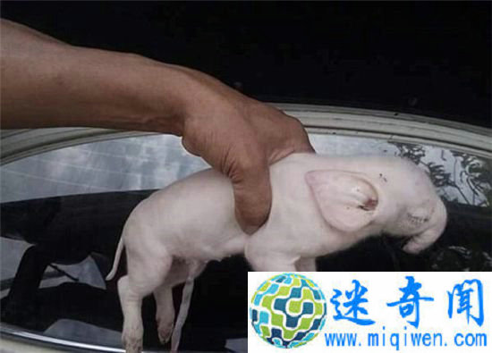 ����կ���֡��������� �ѵ��Ǵ���ĸ���ӽ���