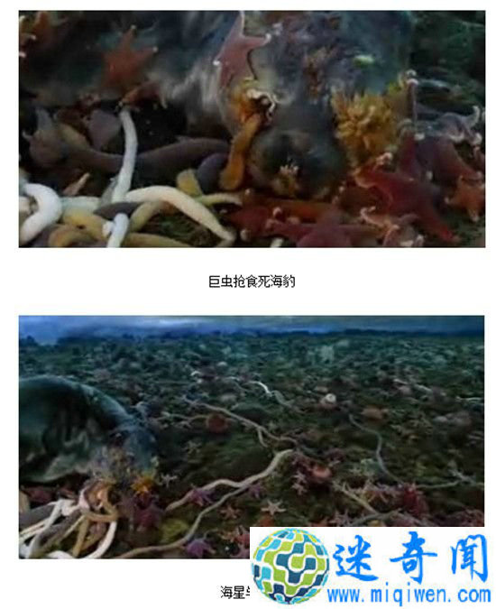 ����3���ϼ��޳�  ��������ʳ��������Ѫ��