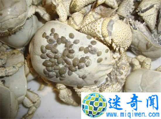 �ϼ������������  �����������С���������