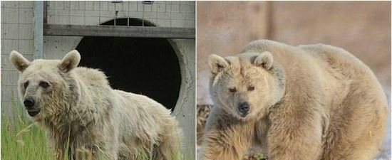 ��������Ϸ��Ű��30�� �ݵ�Ƥ����ͷ