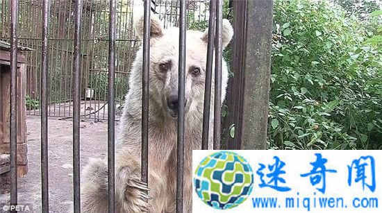 ��������Ϸ��Ű��30�� �ݵ�Ƥ����ͷ