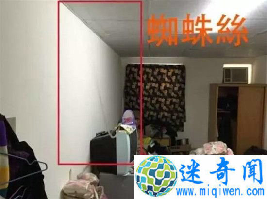 һ�������˷���ķ����״! ��������