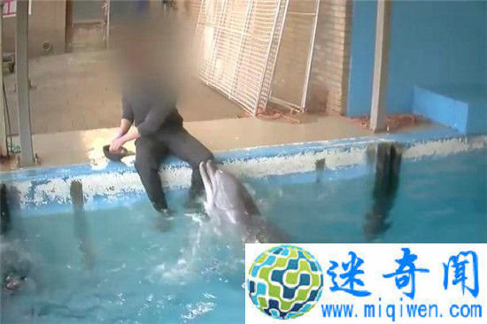 ���Ӻͺ�������Ϊ�ı�������!