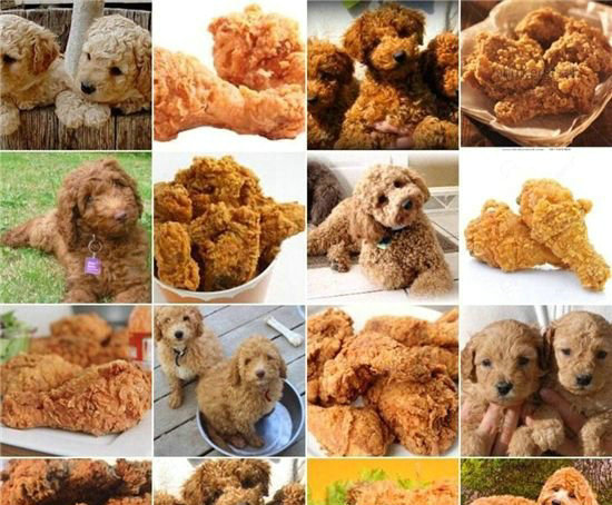 妹子创史上最牛找不同认真你就输了!