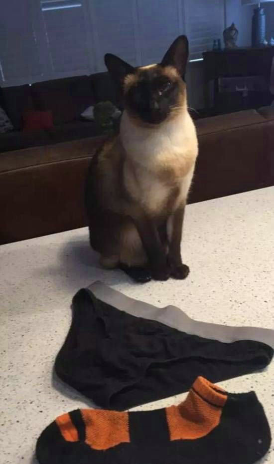 ����һ�����ϳ���͵�ڿ��ħ,���׾������!