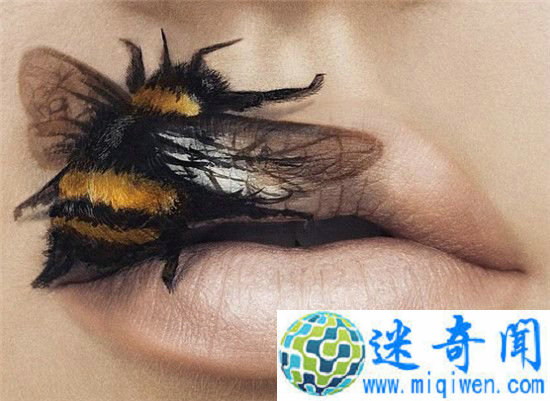 ������������е�������촽������