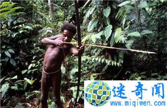 ӡ��ʳ�������˾���Ȣ��5������ֻ����������