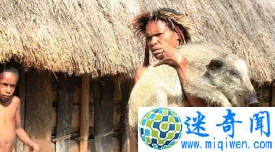 ӡ��ʳ�������˾���Ȣ��5������ֻ����������