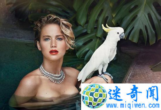 美国各州女性追求裸胸合法美丽冻人