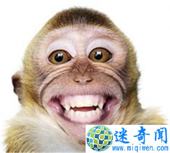 ������ˬ��ʮ����Ů���������ŵ�һ