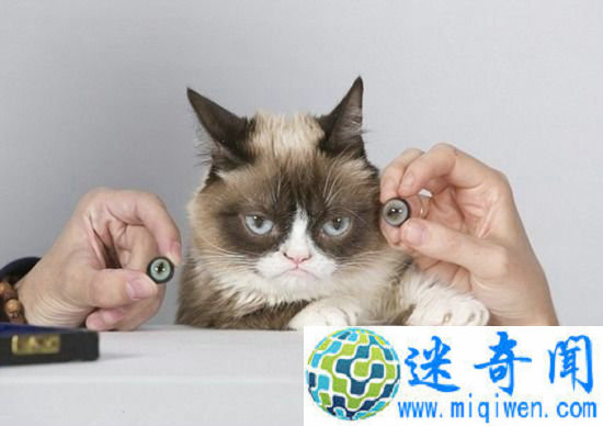 ��ˬè��פ��ɯ��������� ����������ֻ