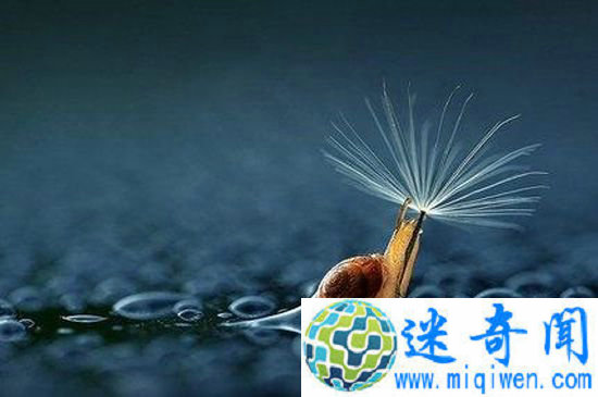 ���ȣ��ɰ�С���������˱��귽ʽ (��ͼ)