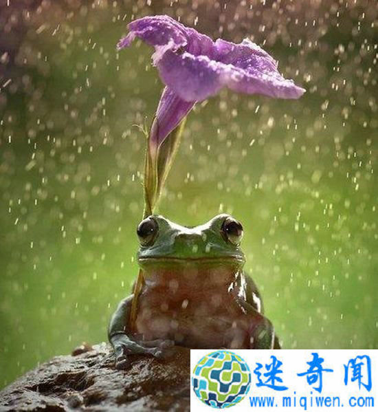 ���ȣ��ɰ�С���������˱��귽ʽ (��ͼ)