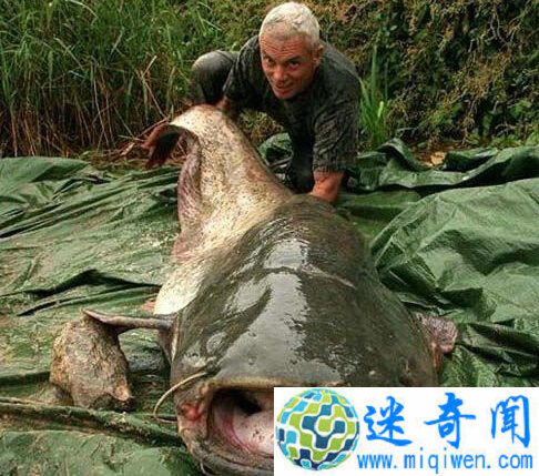 �˴���ʵ���ڵ�����ˮ�� �������������ȫ