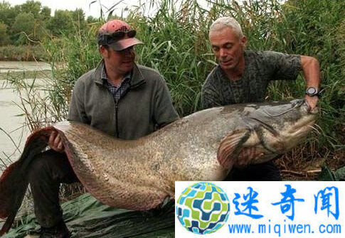 �˴���ʵ���ڵ�����ˮ�� �������������ȫ