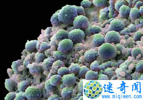 δ���Ƽ����׻����˿ɾ�ȷ�ҵ���ϸ��