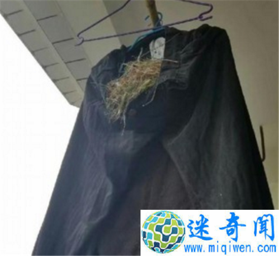 �����·������µ���ô�죿���ߵ�ͦ����