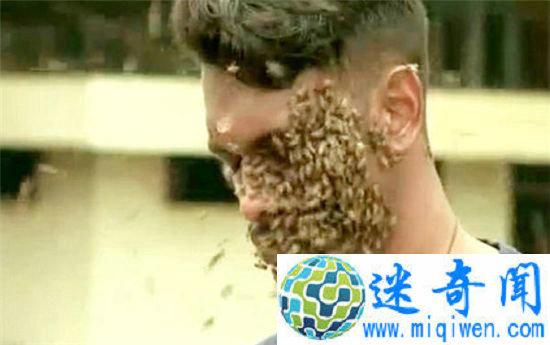 ͷ�ϲ���6���۷� ӡ��С��������������乲��