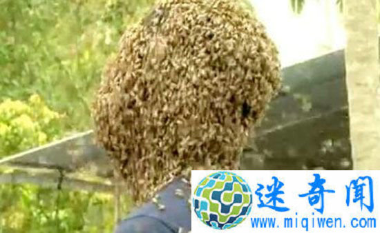 ͷ�ϲ���6���۷䶼��ɷ����˾�Ȼ��ʹ��