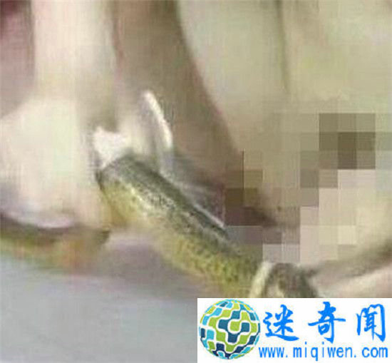 Ůοץ ĪԾŲݷۺˢޣ