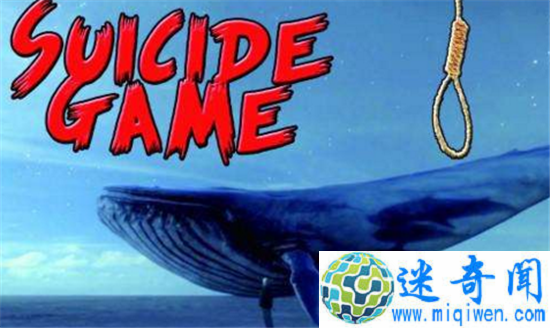 17岁男被蓝鲸游戏教唆自杀