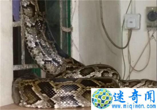 4.5׳ϑլ ߴսܲƴɵ