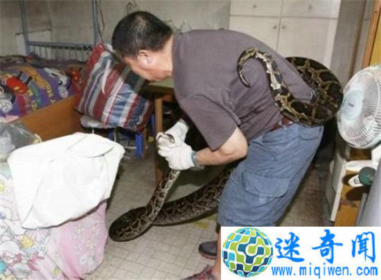 4.5׳ϑլ ߴսܲƴɵ