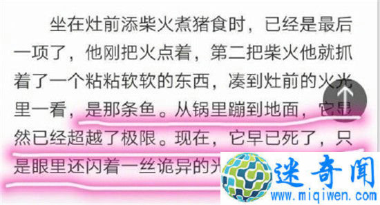 㽭߿Ķ̫ ޷͹ĹһЦ