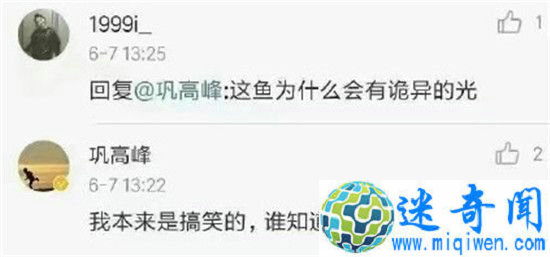 㽭߿Ķ̫ ޷͹ĹһЦ