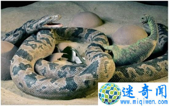 ȫ˴ʷǰ޴󸴻ʷǰʳ