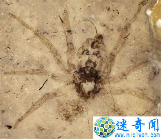 ȫ˴ʷǰ޴󸴻ʷǰʳ