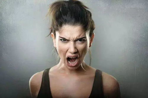 �ձ�������Ӱ�ձ�������Ӱ����ǰʮ