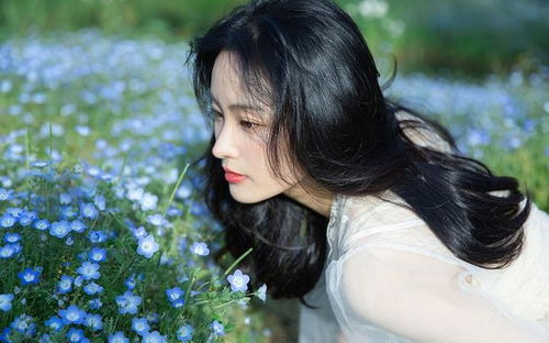 明英宗朱祁镇是谁 明英宗朱祁镇竟然是宫女所生 明英宗朱祁镇是谁 明英宗朱祁镇竟然是宫女所生