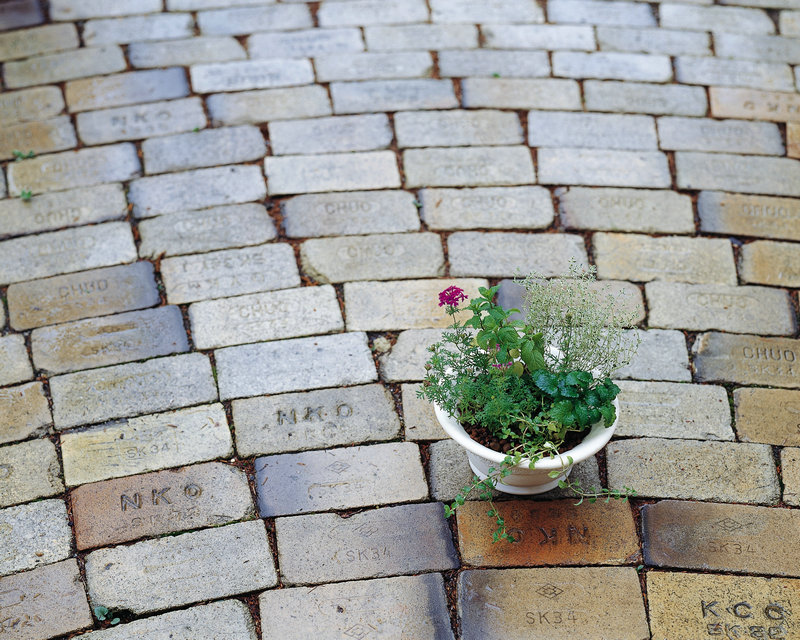 ��ӯӨ��ע�ܿ����� �ܿ���Ӧ��ӯӨ ���˻�