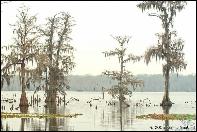小心丧命 世界七大最致命温泉 小心丧命 世界七大最致命温泉