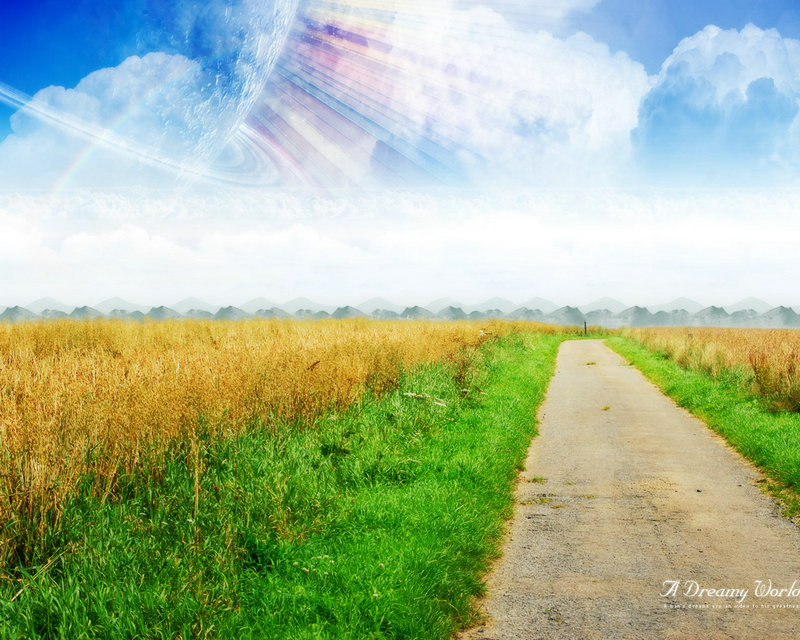 ���ù�4���ֲ�����