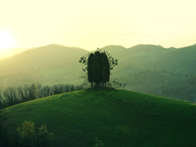 平板电脑品牌(平板电脑品牌有哪些牌子) 平板电脑品牌(平板电脑品牌有哪些牌子)