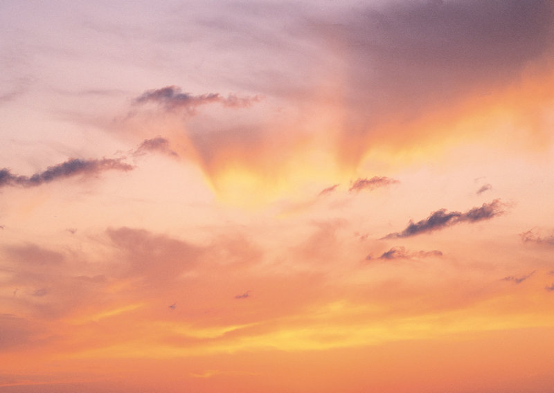 ����Ů����ּ��������