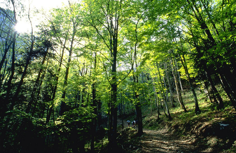 �к����ȴ������� �к����ȴ�������