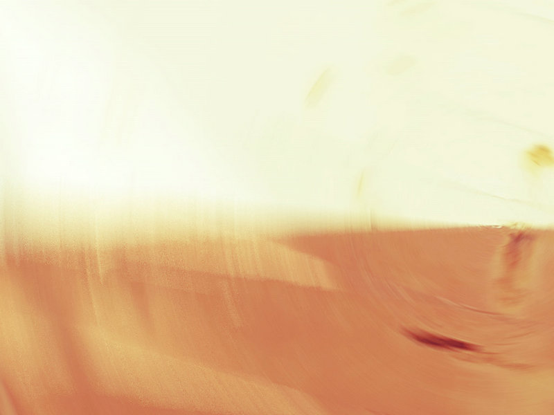 ������������ �������ǽ���