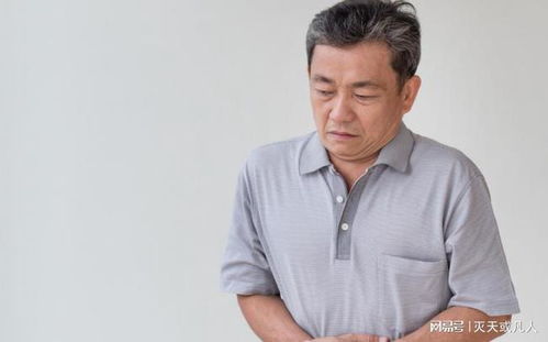 什么狗适合家养 家里养什么狗最好 什么狗适合家养 家里养什么狗最好